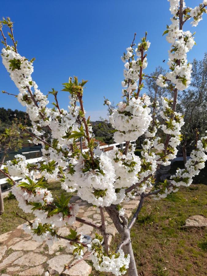 La Casa Al Mare Villa Peschici Kültér fotó